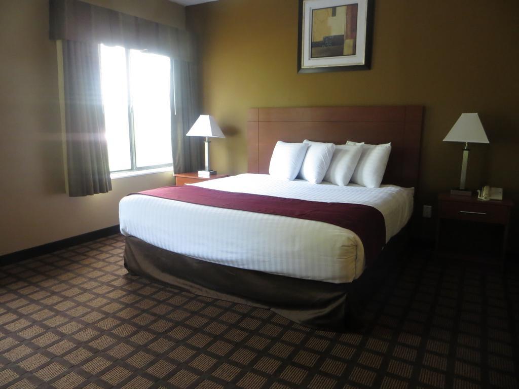 Baymont By Wyndham New Buffalo Hotel Room photo